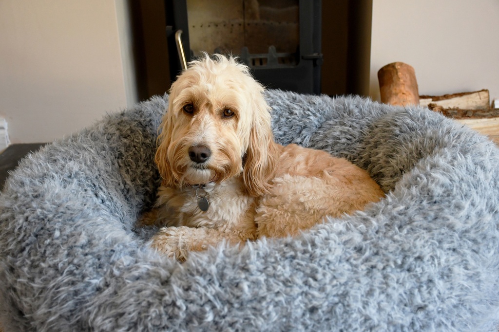 Rosewood rauhoittava koiranpeti, harmaa ja pörröinen XL 90cm