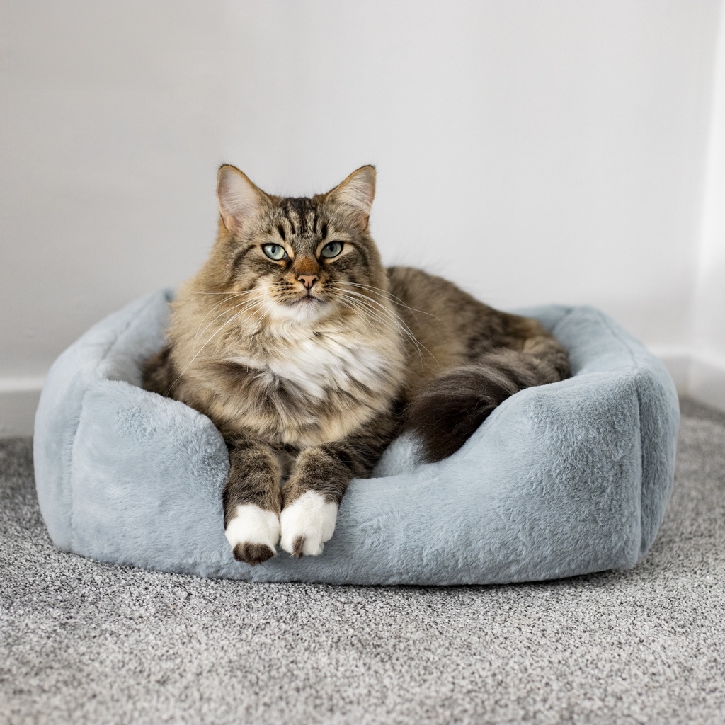 Rosewood pehmopeti vaalea siniharmaa S 46x36cm