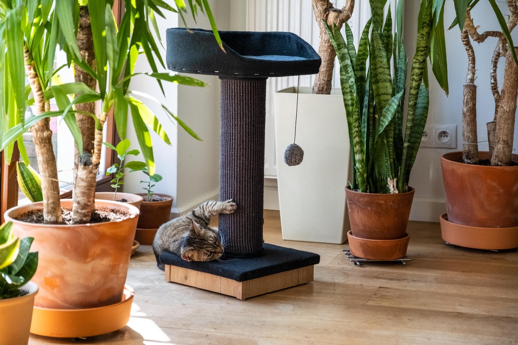 Ecomfy kissan raapimatolppa pedillä musta 67,5cm