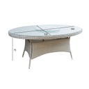 Table ASCOT 180x120xH75cm, grey