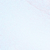 JWB Opal Stick 01-Opale 