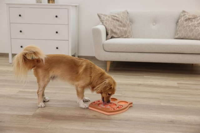 Kerbl lemmikin aktivointilelu pöllö 30x28cm