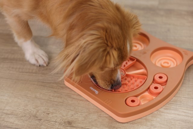 Kerbl lemmikin aktivointilelu pöllö 30x28cm