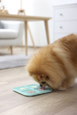 Kerbl lemmikin nuolumatto, 20x20cm, sininen