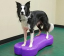 FitPAWS K9FITbone koiran tasapainoalusta, violetti, XL 90x39x14cm
