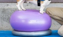 FitPAWS Trax koiran tasapainoalusta donitsi, violetti, ⌀55 cm