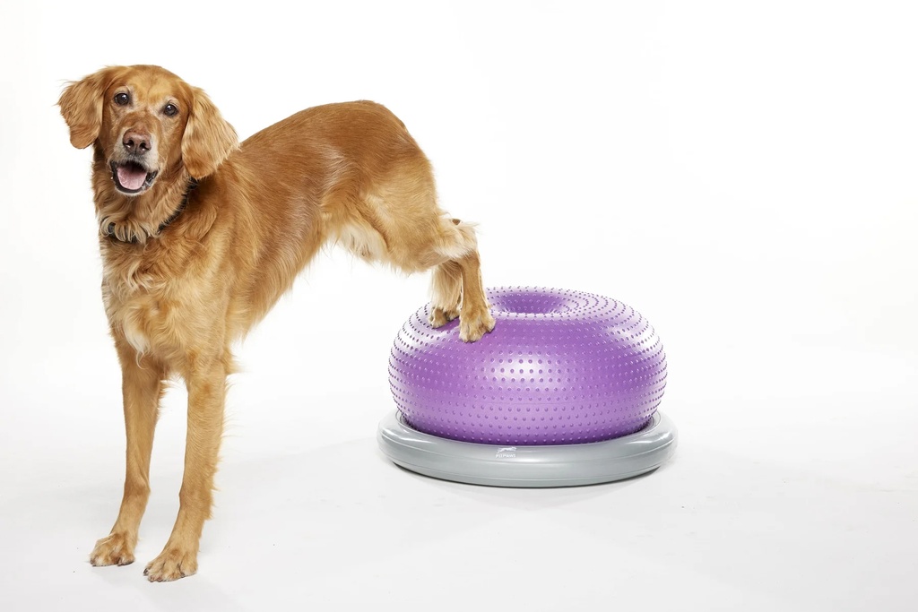 FitPAWS Trax koiran tasapainoalusta donitsi, violetti, ⌀55 cm