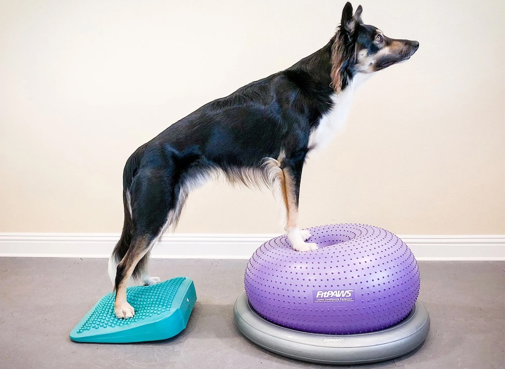 FitPAWS Trax koiran tasapainoalusta donitsi, violetti, ⌀55 cm