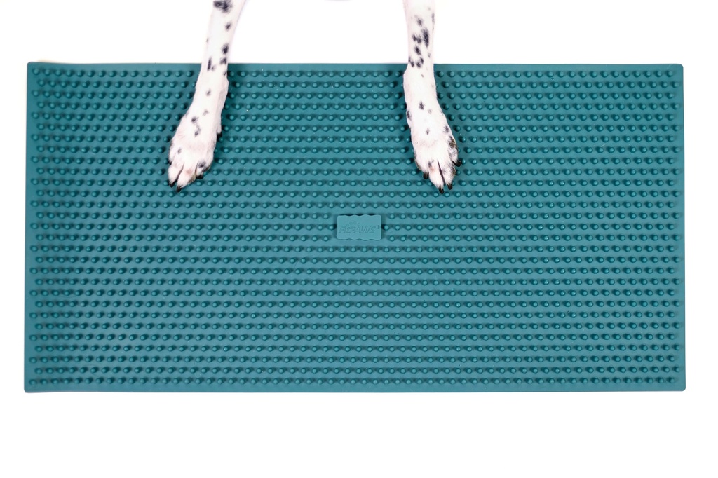 FitPaws K9 FitMat alusta n.60x30cm