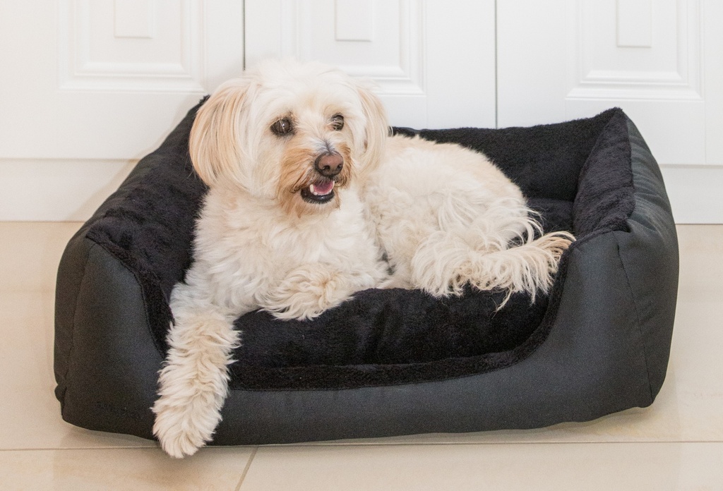 Amiplay Aspen XXL-koiranpeti sohva musta 114x90x25cm