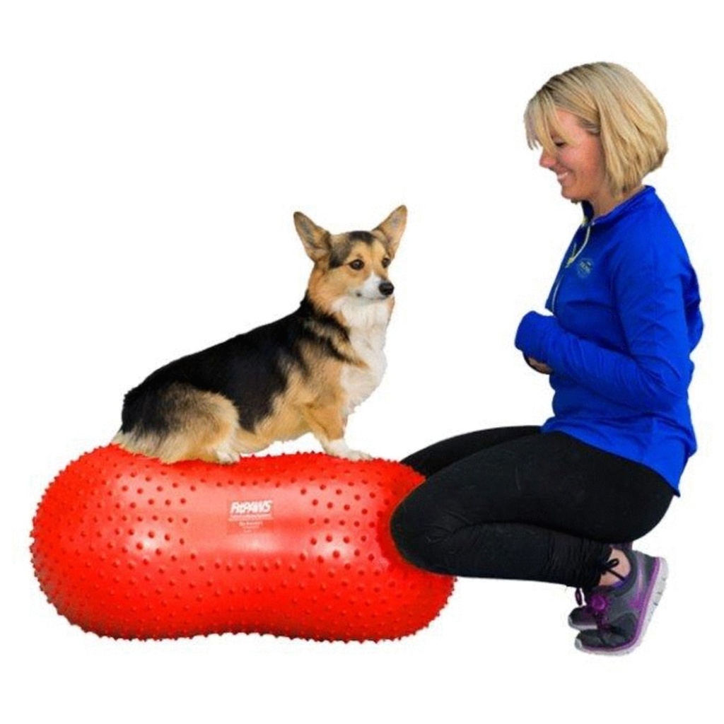 FitPaws tasapainoalusta Peanut Trax pun. 50cm