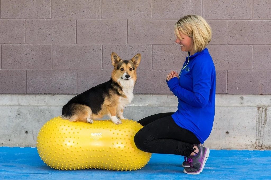 FitPaws tasapainoalusta Peanut Trax keltainen 40cm