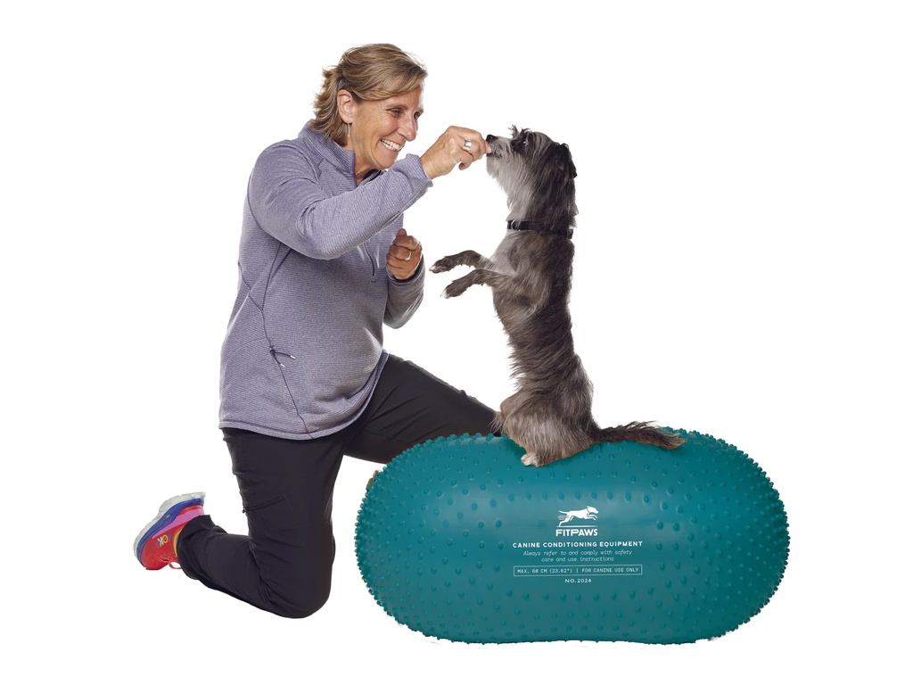 FitPaws tasapainoalusta Peanut Trax sininen 60cm